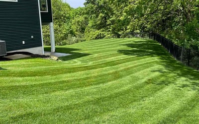 Photo of Janice D.'s yard after getting lawn care in Ada, MI