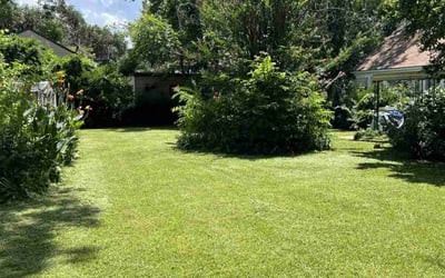 Photo of Beth B.'s yard after getting lawn care in Apopka, FL