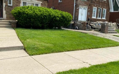 Photo of Natasha J.'s yard after getting lawn care in Inkster, MI