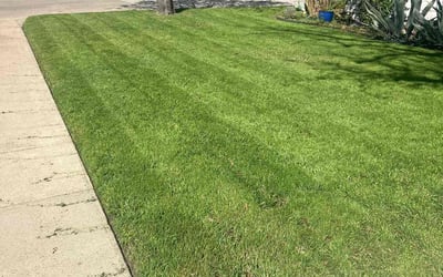 Photo of Ruth A.'s yard after getting lawn care in Belchertown, MA
