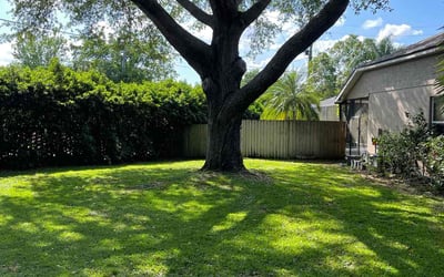 Photo of Vanessa B.'s yard after getting lawn care in Orlando, FL