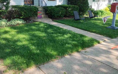 Photo of Mary F.'s yard after getting lawn care in Waltham, MA