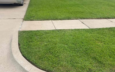 Photo of David M.'s yard after getting lawn care in Federal Way, WA