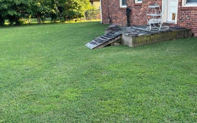 Photo of Matthew R.'s yard after getting lawn care in Huntsville, AL