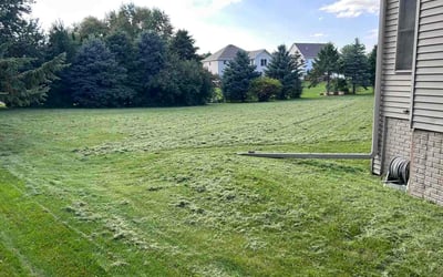 Photo of Elena B.'s yard after getting lawn care in Milford, MA