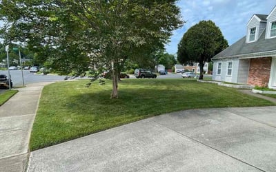 Photo of Bob S.'s yard after getting lawn care in Herndon, VA