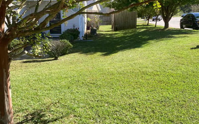 Photo of Diamond J.'s yard after getting lawn care in Selma, NC