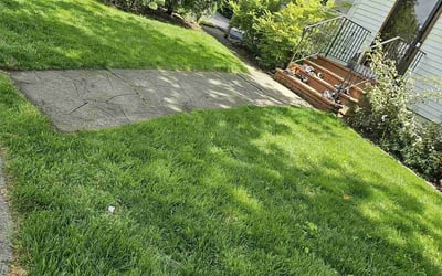 Photo of Jacqueline C.'s yard after getting lawn care in Teaneck, NJ