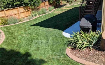 Photo of Lauren S.'s yard after getting lawn care in Lapeer, MI