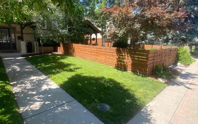 Photo of Myra P.'s yard after getting lawn care in Federal Heights, CO