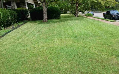 Photo of Amber C.'s yard after getting lawn care in Covington, TN