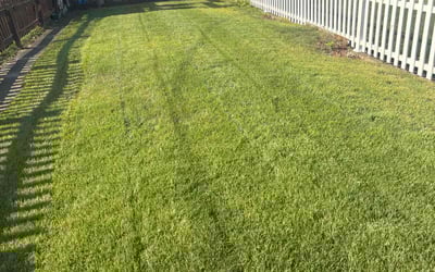Photo of Lakitta J.'s yard after getting lawn care in Kutztown, PA
