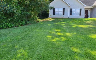Photo of LaToya N.'s yard after getting lawn care in Covington, GA