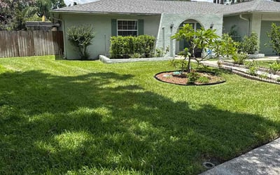 Photo of Ann-Maria C.'s yard after getting lawn care in Pebble Creek, FL