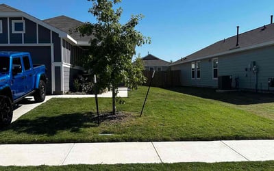 Photo of David Y.'s yard after getting lawn care in Decatur, TX