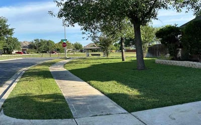 Photo of Jason V.'s yard after getting lawn care in Seguin, TX