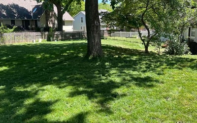 Photo of Maggie B.'s yard after getting lawn care in Shawnee, KS