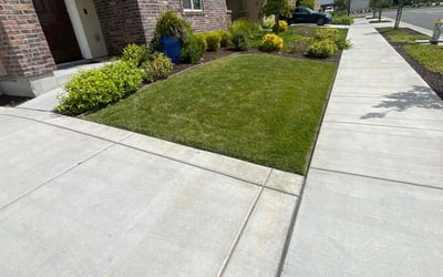 Photo of Holly Y.'s yard after getting lawn care in El Dorado Hills, CA
