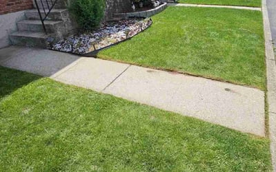 Photo of Jean D.'s yard after getting lawn care in Oakley, CA