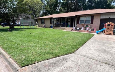 Photo of Moli A.'s yard after getting lawn care in Newport News, VA