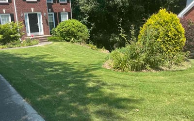 Photo of Elizabeth B.'s yard after getting lawn care in Grayson, GA