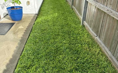 Photo of Mark P.'s yard after getting lawn care in Robstown, TX