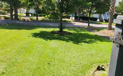 Photo of Mary C.'s yard after getting lawn care in Cape Coral, FL
