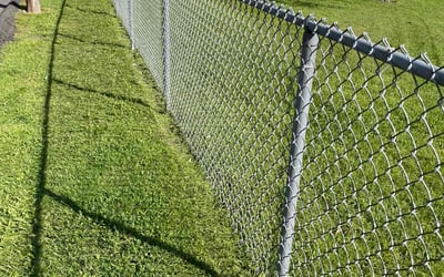 Photo of Jennifer G.'s yard after getting lawn care in Wilkes Barre, PA