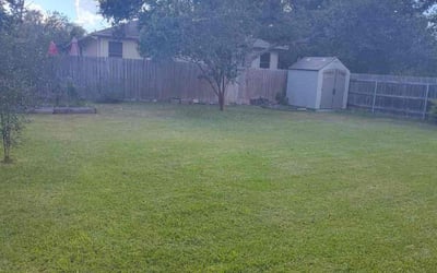 Photo of Jackie h.'s yard after getting lawn care in Cedar Park, TX