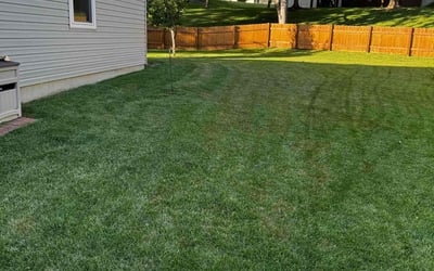 Photo of Jennifer L.'s yard after getting lawn care in Fenton, MO