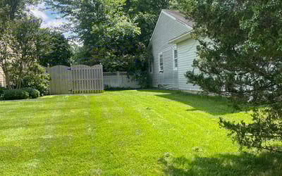 Photo of Todd K.'s yard after getting lawn care in Marlton, NJ