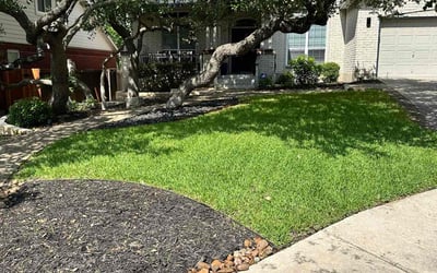 Photo of William S.'s yard after getting lawn care in Burlington, CT