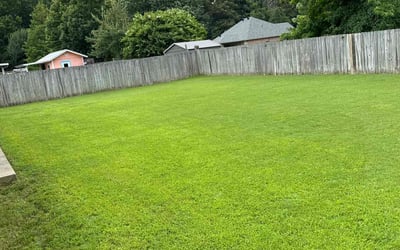 Photo of Ron K.'s yard after getting lawn care in Sherwood, AR