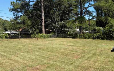 Photo of Stephanie M.'s yard after getting lawn care in Bloomington, IN