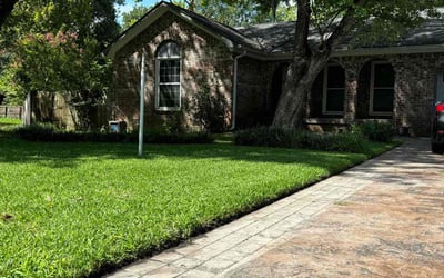 Photo of Clyde M.'s yard after getting lawn care in Williamston, SC