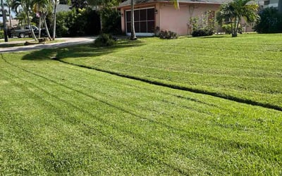 Photo of Kayt W.'s yard after getting lawn care in Huntley, IL
