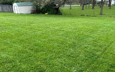 Photo of Alwyn D.'s yard after getting lawn care in Miamisburg, OH