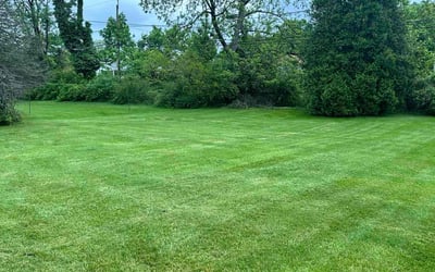 Photo of Tyrell M.'s yard after getting lawn care in Norristown, PA