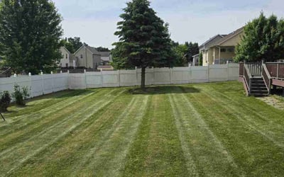 Photo of Dionne B.'s yard after getting lawn care in East Lansing, MI