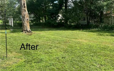 Photo of Todd J.'s yard after getting lawn care in West Deptford, NJ