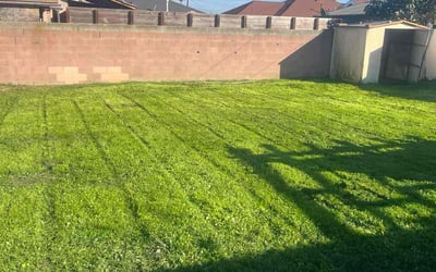 Photo of Marie H.'s yard after getting lawn care in South El Monte, CA