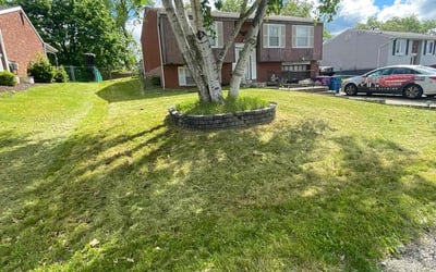 Photo of Sean O.'s yard after getting lawn care in Mc Kees Rocks, PA