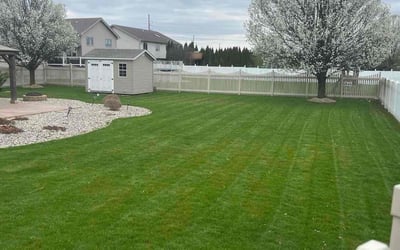 Photo of Sean A.'s yard after getting lawn care in Crown Point, IN