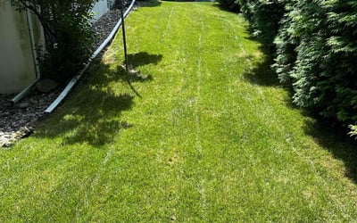 Photo of Jeanne T.'s yard after getting lawn care in Allentown, PA