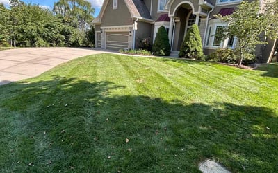 Photo of May L.'s yard after getting lawn care in Olathe, KS