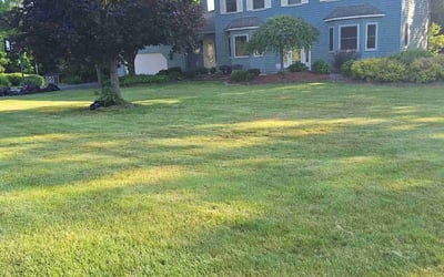 Photo of Nancy T.'s yard after getting lawn care in Syracuse, NY
