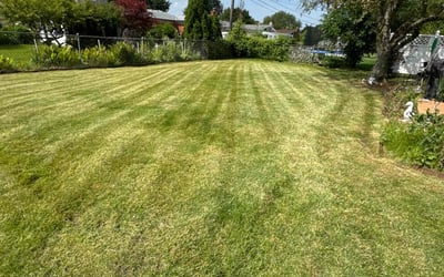 Photo of Colton P.'s yard after getting lawn care in Warren, MI