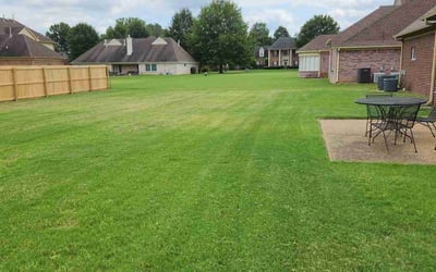 Photo of Celeste T.'s yard after getting lawn care in Collierville, TN