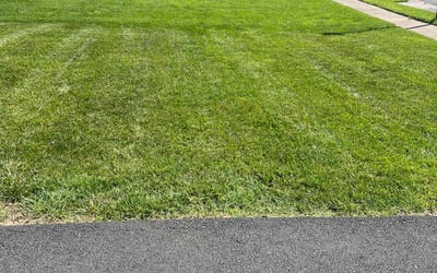 Photo of Ann P.'s yard after getting lawn care in Plymouth, MA
