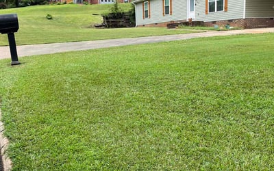 Photo of Jamila C.'s yard after getting lawn care in Greenville, SC